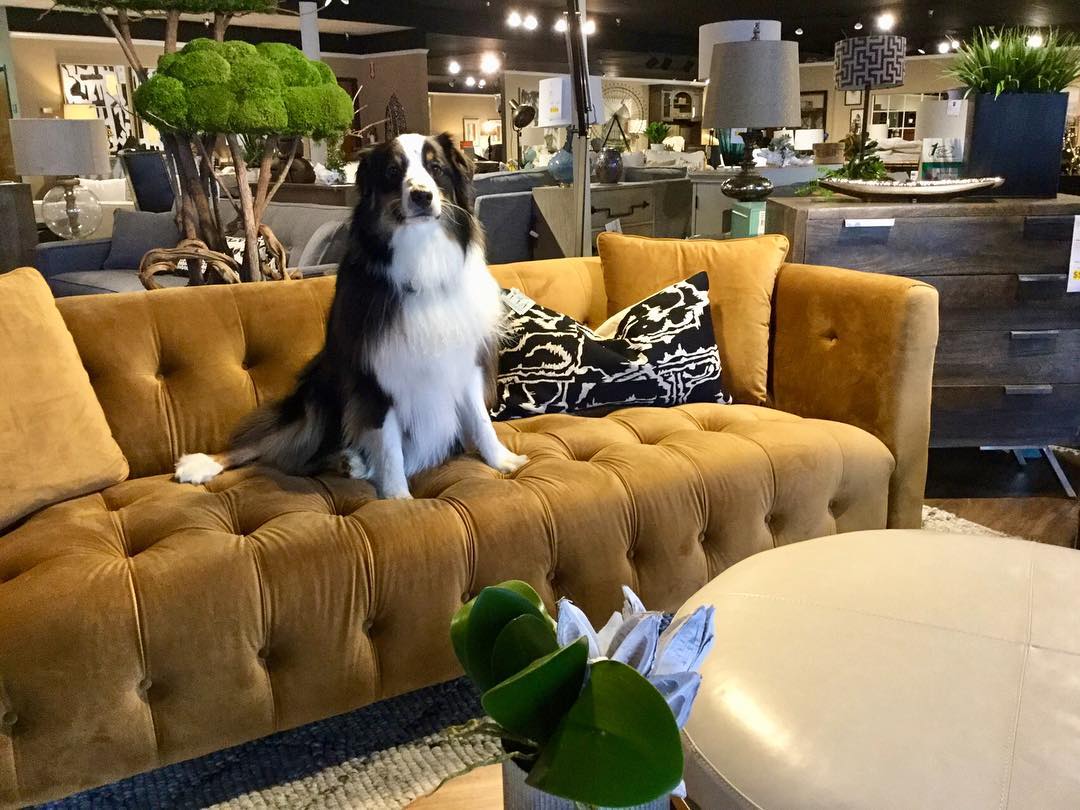 Meet Willy! - Charter Blog