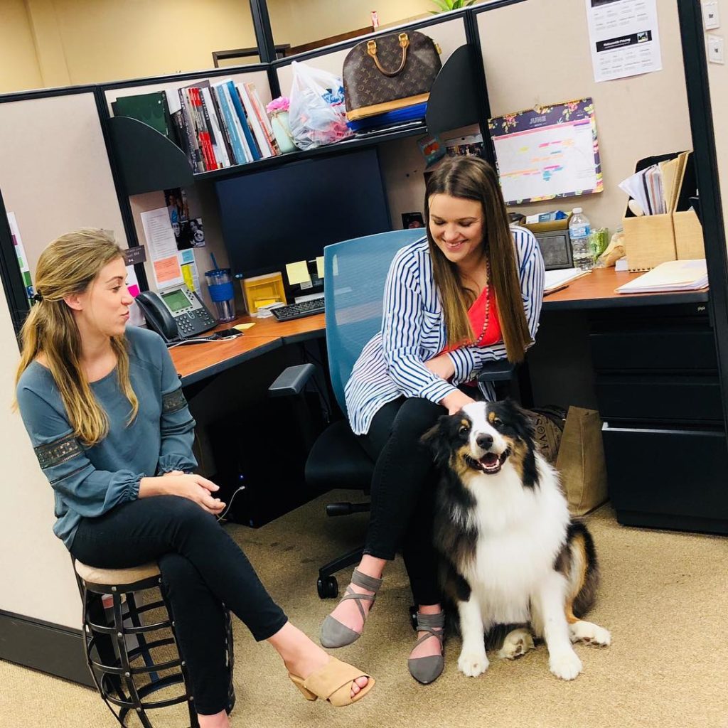 Charter Furniture Solutions employees with Dog