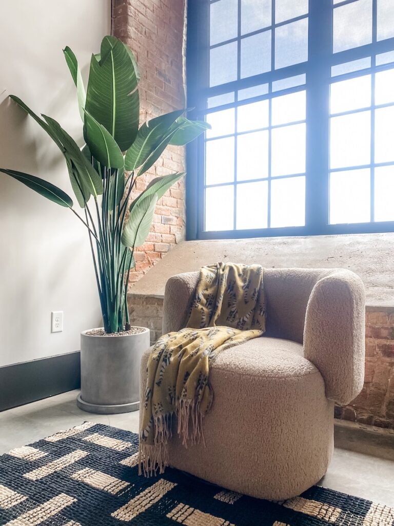 Small chair and faux plant in living room for custom model